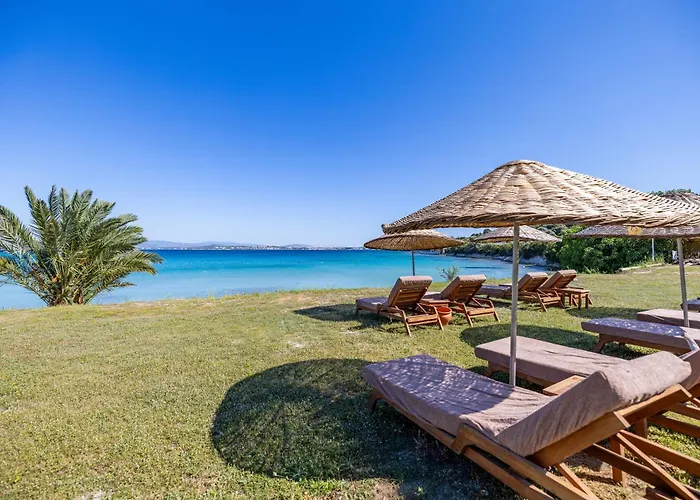 Sisus Marina