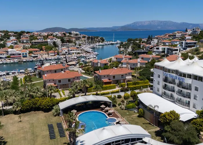 Sisus Marina