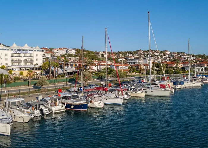 Sisus Marina